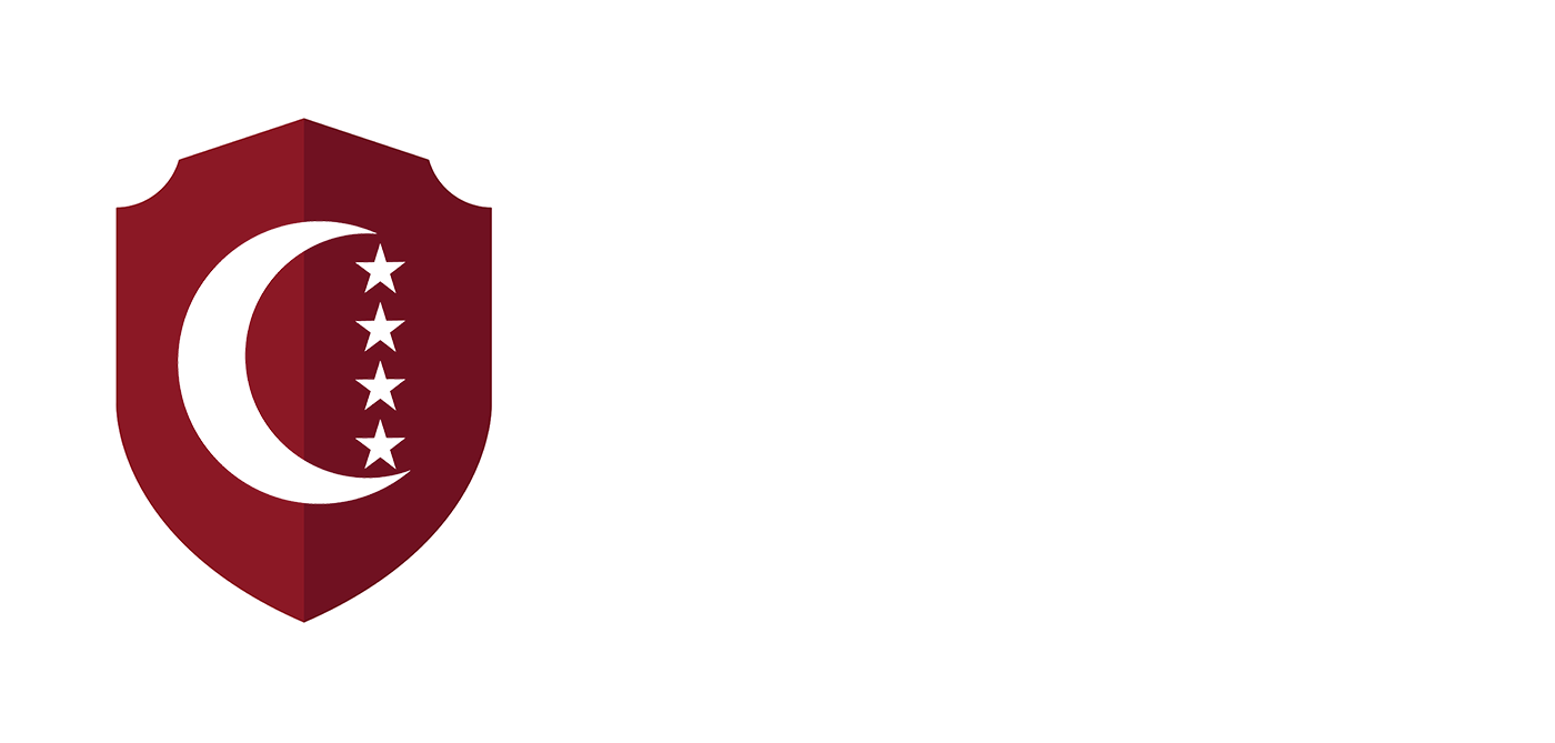 logo-light копия